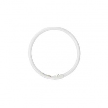 佛山照明FSL T5環(huán)形三基色熒光燈 彩盒 22W 白光