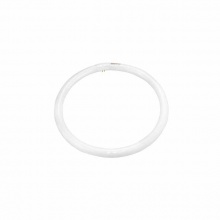 飛利浦(PHILIPS) T8 環(huán)形光管 22W 白光