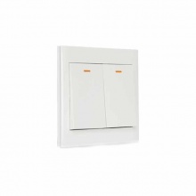 博格 A1二位單控開關(guān)A1821