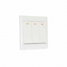 博格 A1三位單控開關(guān)A1831