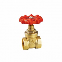 AMICO/埃美柯 169系列黃銅閘閥 內(nèi)螺紋水管手輪控制銅閥門(mén) Z15W-16T-DN15