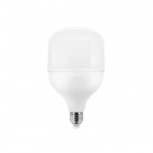 飛利浦(PHILIPS)LED天棚燈泡 65W E40 6500K